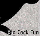 Big Cock Fun