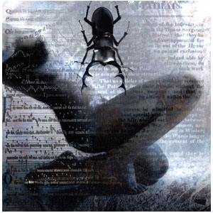 Copyright (C) 1998 Catherine McIntyre. All rights reserved.