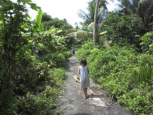 Path to airstrip
